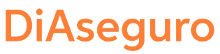 logo_didi